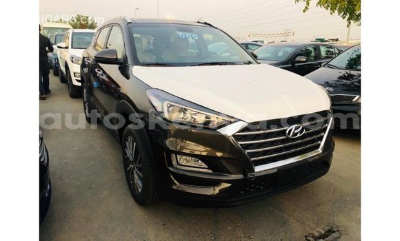 Buy Import Hyundai Tucson Brown Car in Import - Dubai in Central Kenya Buy Import Hyundai Tucson Brown Car in Import - Dubai in Central Kenya