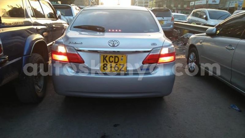 Big with watermark 44428837 301621367094620 7900531807722930176 n