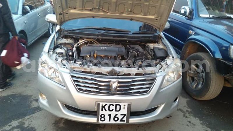 Big with watermark 44515317 301621323761291 3571363721504620544 n