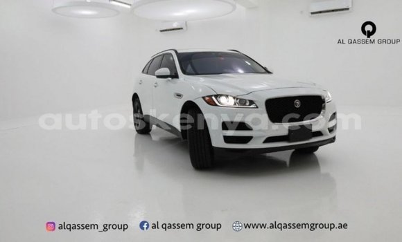 Imported Jaguar F-Pace White Makiinaa iti Import - Dubai keessatti Central Kenya keessatti