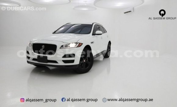 Imported Jaguar F-Pace White Makiinaa iti Import - Dubai keessatti Central Kenya keessatti Imported Jaguar F-Pace White Makiinaa iti Import - Dubai keessatti Central Kenya keessatti