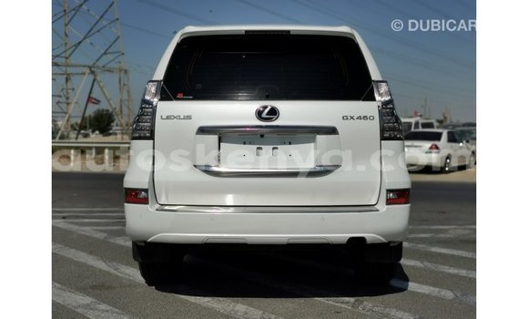 Nunua Imported Lexus IS Nyeupe Gari ndani ya Import - Dubai nchini Kati Kenya Nunua Imported Lexus IS Nyeupe Gari ndani ya Import - Dubai nchini Kati Kenya