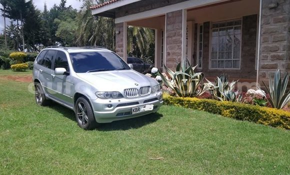 Oofamaa BMW X5 Silver Makiinaa iti Nairobi keessatti Nairobi keessatti
