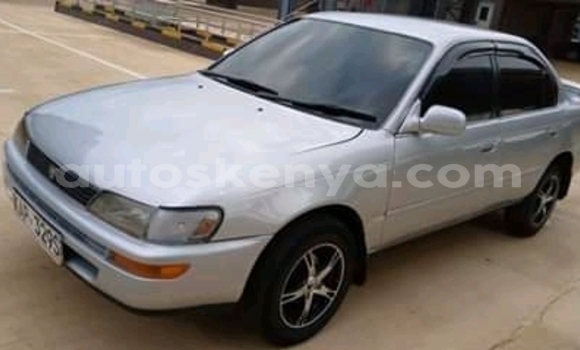 Oofamaa Toyota Corolla Other Makiinaa iti Chuka keessatti East Kenya keessatti Oofamaa Toyota Corolla Other Makiinaa iti Chuka keessatti East Kenya keessatti