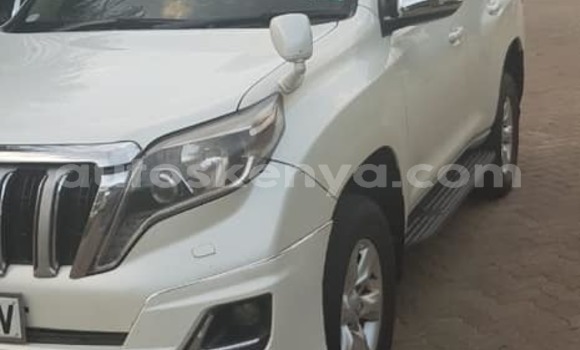 Buy Used Toyota Land Cruiser Prado White Car in Nairobi in Nairobi Buy Used Toyota Land Cruiser Prado White Car in Nairobi in Nairobi