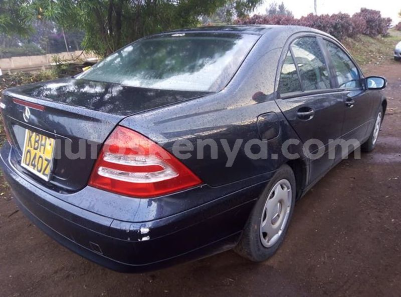 Big with watermark 44800673 925861870938734 1545847270581207040 n