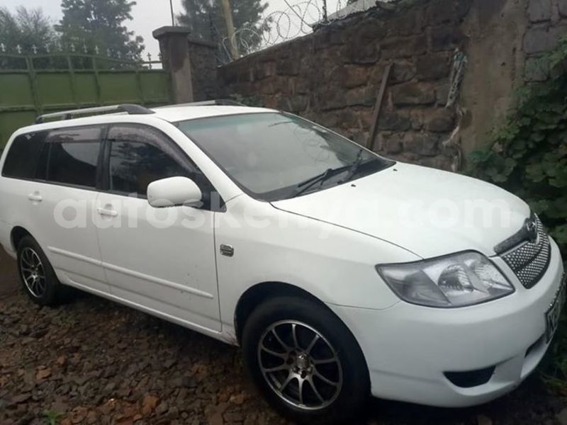 Big with watermark 44202355 924330644425190 4061176562332991488 n