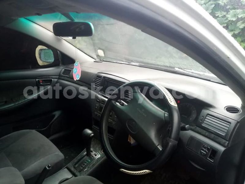 Big with watermark 44594490 924330667758521 4212615451332575232 n