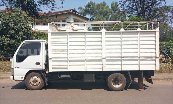 Buy Used Isuzu N–serie White Truck in Nairobi in Nairobi Buy Used Isuzu N–serie White Truck in Nairobi in Nairobi