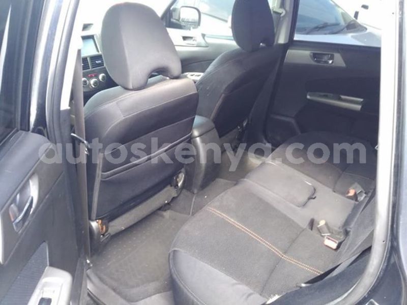 Big with watermark 45647051 175697223370479 262099580374482944 n