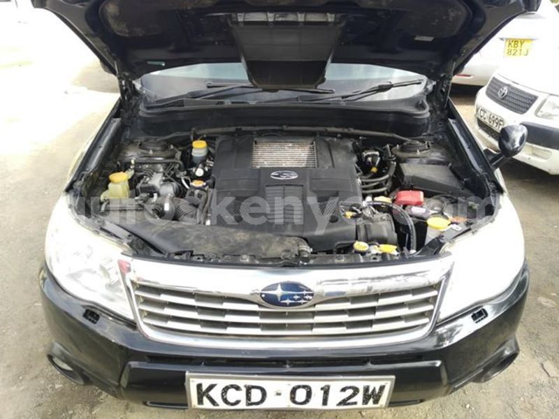 Big with watermark 45520508 175697183370483 7250809676537790464 n