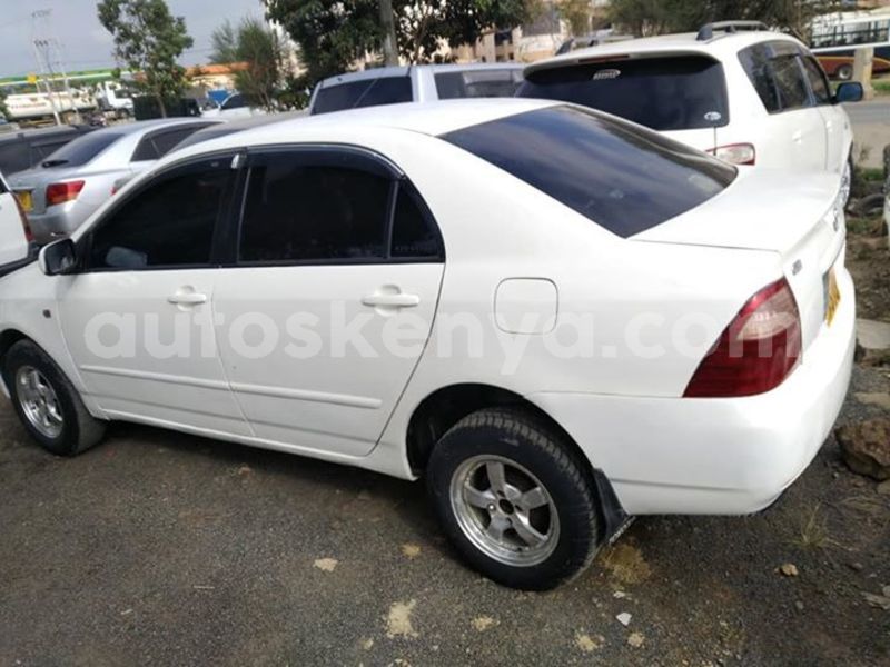 Big with watermark 45541164 175699386703596 5349725287242268672 n