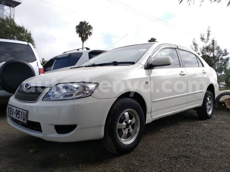 Big with watermark 45556311 175699366703598 6951271020862898176 n