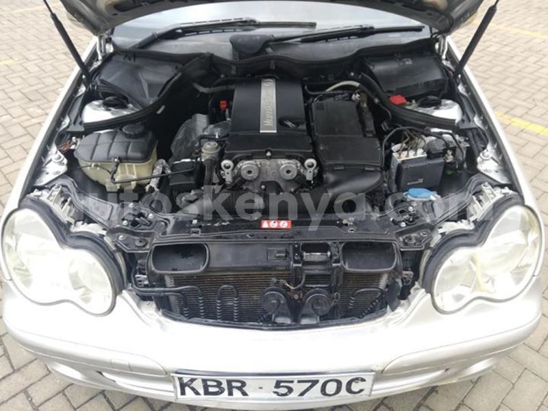 Big with watermark 45006801 171546603785541 2043467077758484480 n