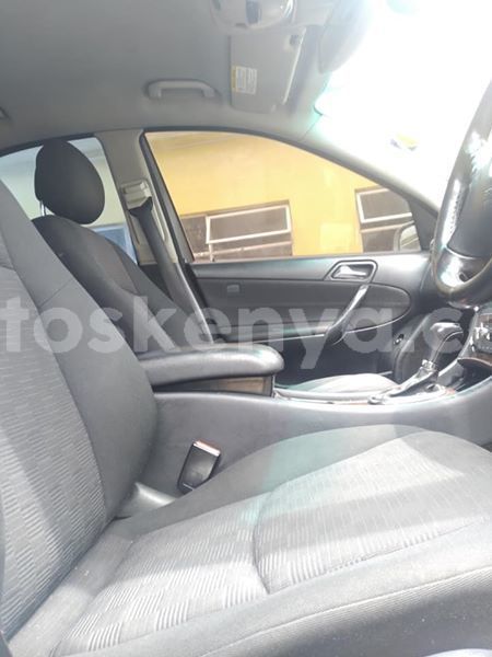 Big with watermark 45094363 171546577118877 8003524431991275520 n