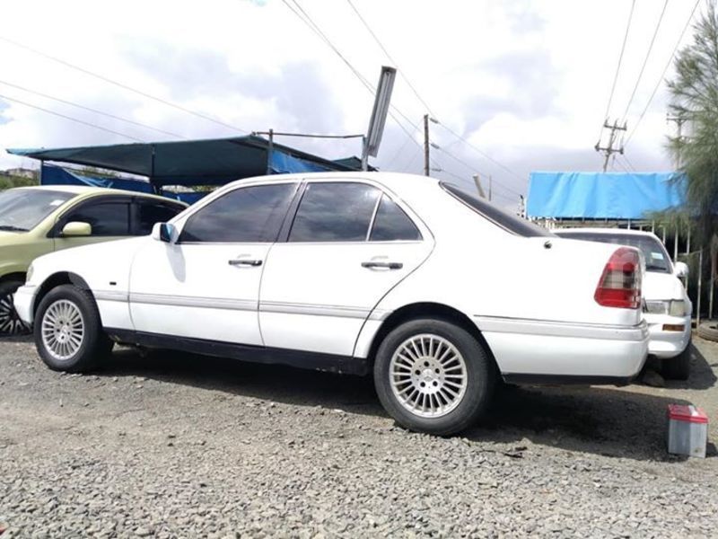 Big with watermark 45083877 170109280595940 2710947124891090944 n