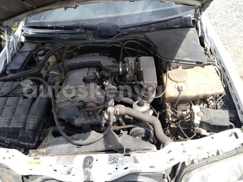 Big with watermark 45066192 170109370595931 8410282900351614976 n