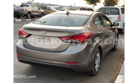 Buy Import Hyundai Elantra Brown Car in Import - Dubai in Central Kenya Buy Import Hyundai Elantra Brown Car in Import - Dubai in Central Kenya