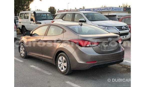 Buy Import Hyundai Elantra Brown Car in Import - Dubai in Central Kenya Buy Import Hyundai Elantra Brown Car in Import - Dubai in Central Kenya