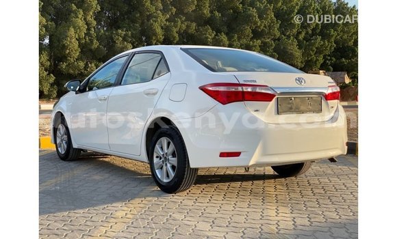 Buy Import Toyota Corolla White Car in Import - Dubai in Central Kenya Buy Import Toyota Corolla White Car in Import - Dubai in Central Kenya