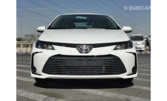 Imported Toyota Corolla White Makiinaa iti Import - Dubai keessatti Central Kenya keessatti Imported Toyota Corolla White Makiinaa iti Import - Dubai keessatti Central Kenya keessatti