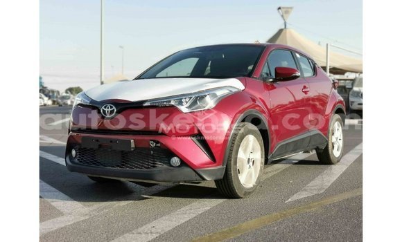 Imported Toyota C-HR Red Makiinaa iti Import - Dubai keessatti Central Kenya keessatti Imported Toyota C-HR Red Makiinaa iti Import - Dubai keessatti Central Kenya keessatti