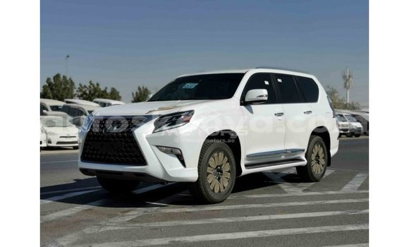 Buy Import Lexus GX White Car in Import - Dubai in Central Kenya Buy Import Lexus GX White Car in Import - Dubai in Central Kenya