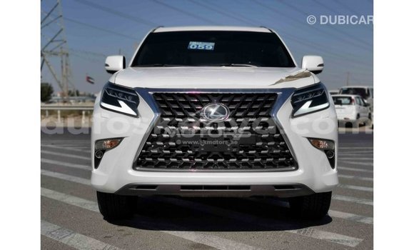 Buy Import Lexus GX White Car in Import - Dubai in Central Kenya Buy Import Lexus GX White Car in Import - Dubai in Central Kenya