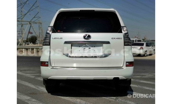 Buy Import Lexus GX White Car in Import - Dubai in Central Kenya Buy Import Lexus GX White Car in Import - Dubai in Central Kenya