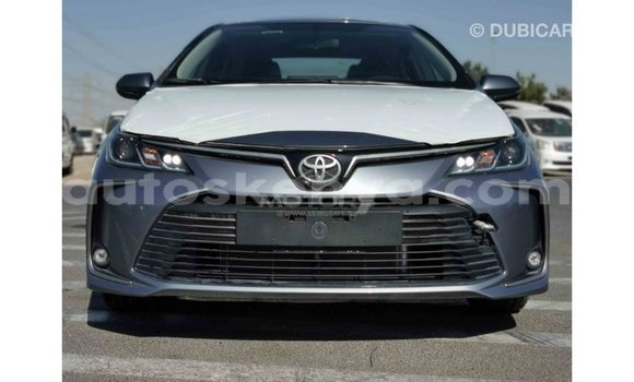 Buy Import Toyota Corolla Other Car in Import - Dubai in Central Kenya Buy Import Toyota Corolla Other Car in Import - Dubai in Central Kenya