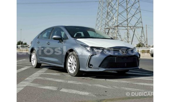 Buy Import Toyota Corolla Other Car in Import - Dubai in Central Kenya Buy Import Toyota Corolla Other Car in Import - Dubai in Central Kenya