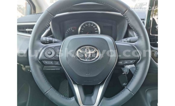 Buy Import Toyota Corolla Other Car in Import - Dubai in Central Kenya Buy Import Toyota Corolla Other Car in Import - Dubai in Central Kenya