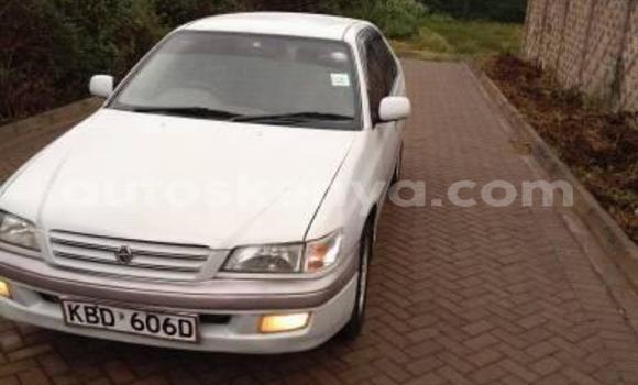 Imported Toyota Premio White Makiinaa iti Nairobi keessatti Nairobi keessatti Imported Toyota Premio White Makiinaa iti Nairobi keessatti Nairobi keessatti