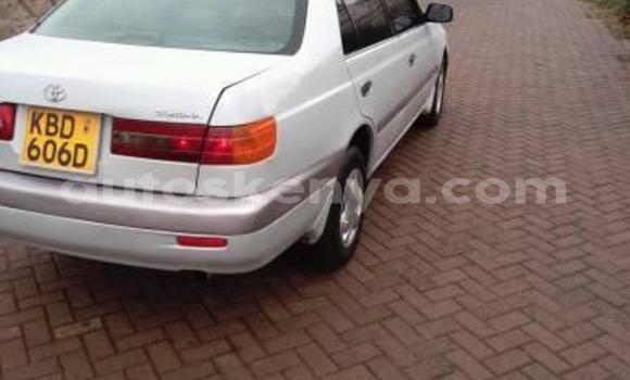 Imported Toyota Premio White Makiinaa iti Nairobi keessatti Nairobi keessatti Imported Toyota Premio White Makiinaa iti Nairobi keessatti Nairobi keessatti