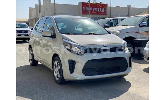 Buy Import Kia Picanto Beige Car in Import - Dubai in Central Kenya Buy Import Kia Picanto Beige Car in Import - Dubai in Central Kenya