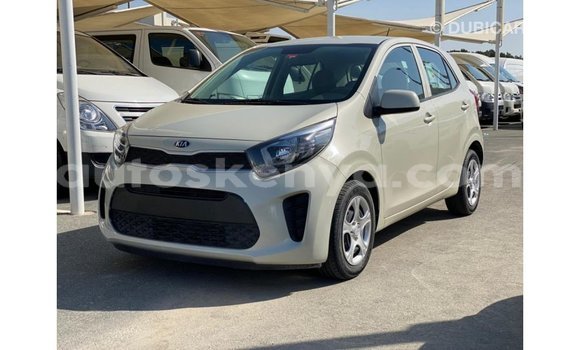 Buy Import Kia Picanto Beige Car in Import - Dubai in Central Kenya Buy Import Kia Picanto Beige Car in Import - Dubai in Central Kenya
