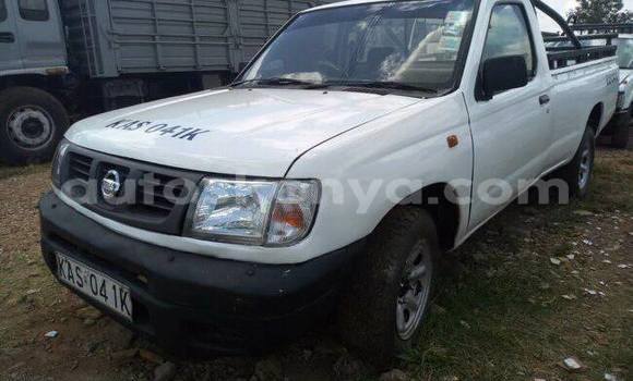Imported Nissan Hardbody White Makiinaa iti Nairobi keessatti Nairobi keessatti Imported Nissan Hardbody White Makiinaa iti Nairobi keessatti Nairobi keessatti