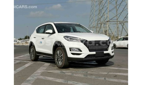 Buy Import Hyundai Tucson White Car in Import - Dubai in Central Kenya Buy Import Hyundai Tucson White Car in Import - Dubai in Central Kenya