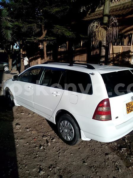 Big with watermark 46124371 1113166325520095 3309405192151105536 n