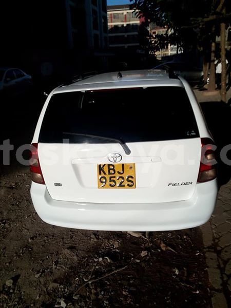 Big with watermark 46195163 1113166398853421 936309686641098752 n