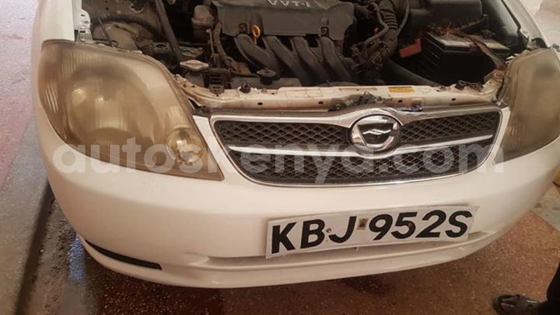 Big with watermark 46047349 1113166452186749 5006001910696640512 n