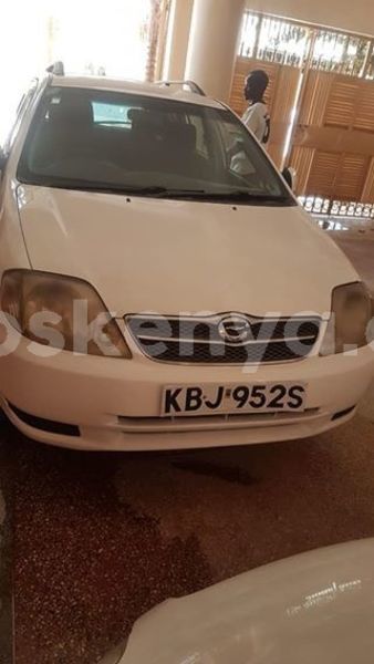 Big with watermark 46118511 1113166428853418 2318474069944565760 n