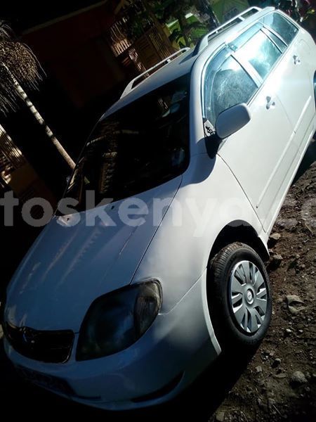 Big with watermark 46055166 1113166298853431 1675512427736727552 n