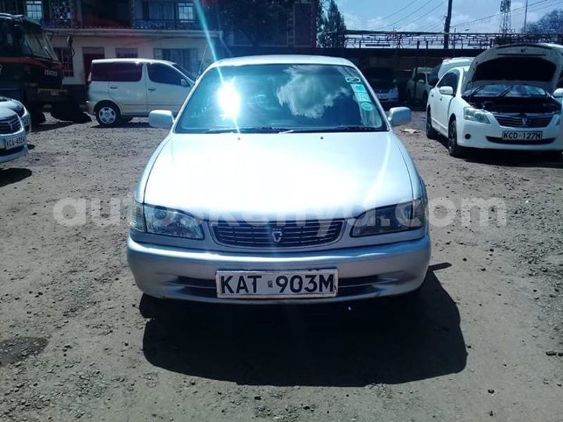 Big with watermark 46060547 1112526882250706 3152948866521759744 n