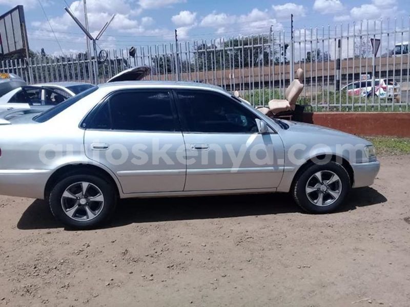 Big with watermark 46256426 1112526865584041 4356240205682835456 n