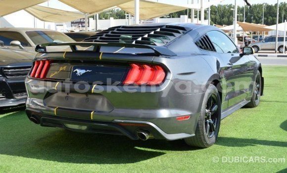 Buy Import Ford Mustang Black Car in Import - Dubai in Central Kenya Buy Import Ford Mustang Black Car in Import - Dubai in Central Kenya