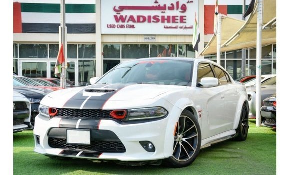 Buy Import Dodge Charger White Car in Import - Dubai in Central Kenya