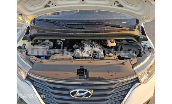 Buy Import Hyundai Chorus White Truck in Import - Dubai in Central Kenya Buy Import Hyundai Chorus White Truck in Import - Dubai in Central Kenya