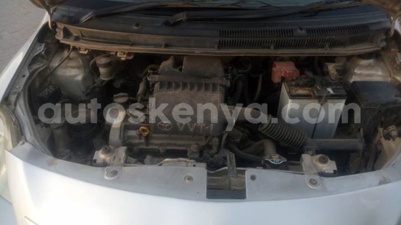 Big with watermark 46492698 2142556535996209 3624559485625827328 n