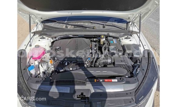 Buy Import Kia K5 White Car in Import - Dubai in Central Kenya Buy Import Kia K5 White Car in Import - Dubai in Central Kenya